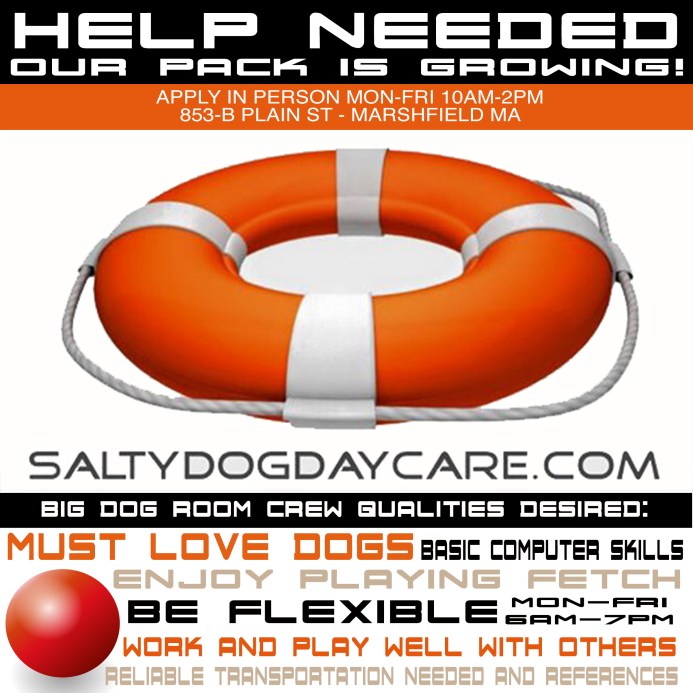 HelpWanted_Salty-Dog