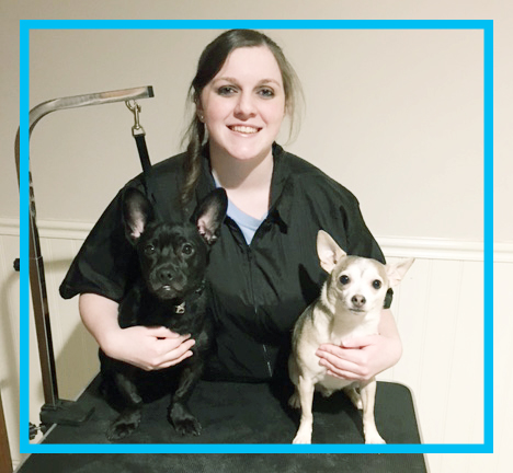 saltydogdaycaregrooming