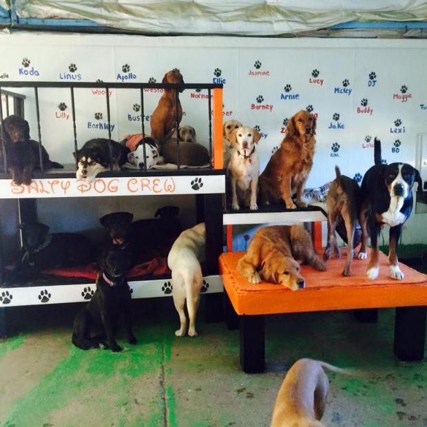 1499527_639009786208091_7473776089418913083_n