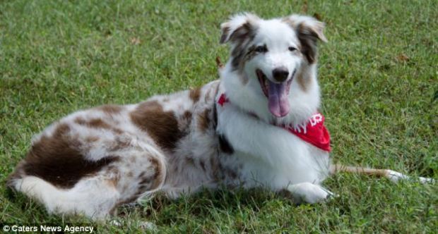 article-0-19A657A800000578-360_634x340