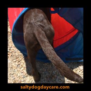 11216717_711201125655623_3991232187411809320_n