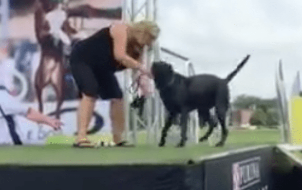 Screen Shot 2015-07-13 at 10.26.38 PM