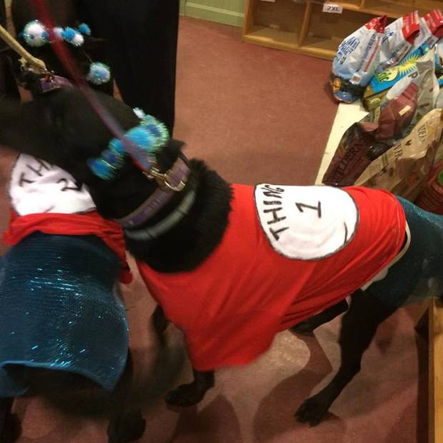 THING ONE AND THING TWO #LOVETHETWINS