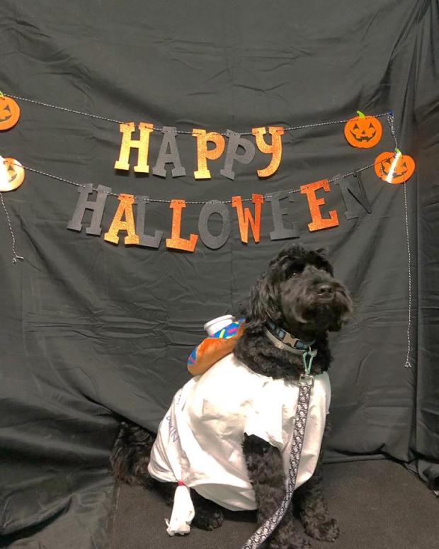 22885937_1319505628158500_7082350896457946358_n