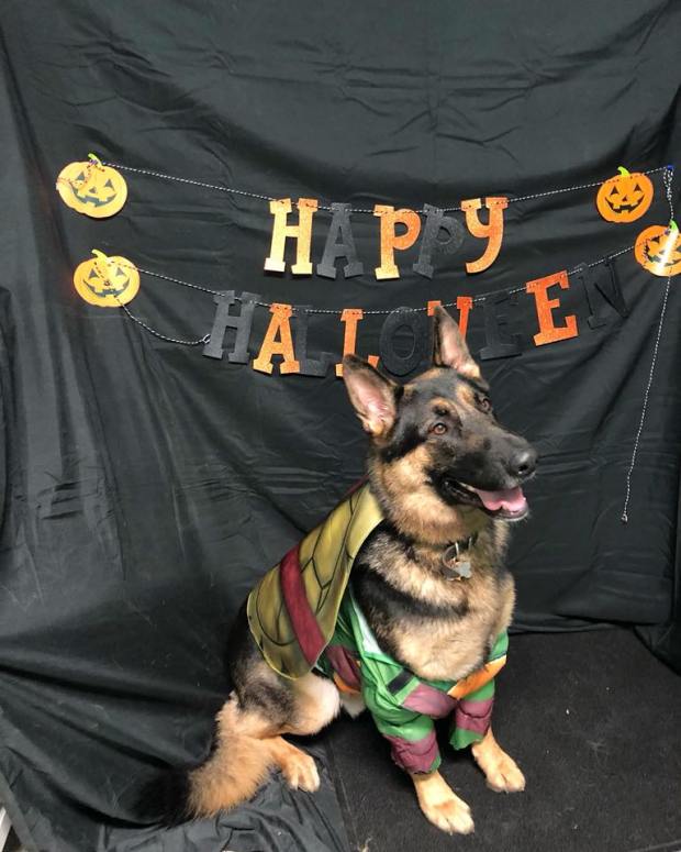 22886007_1319505428158520_7342891726026587720_n