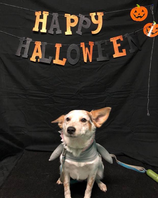 22894012_1319505488158514_3844187253273059168_n