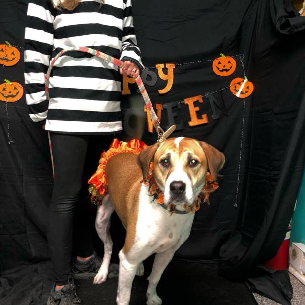 22894155_1319505234825206_1022966883315507444_n