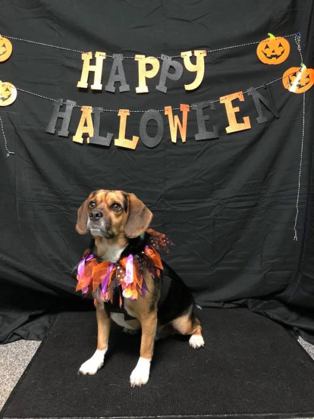 22894408_1319508748158188_6595766509034406263_n