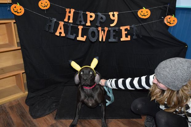 23000016_1319465814829148_3902343771443320529_o