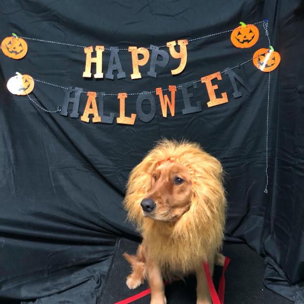 23031404_1319505351491861_9206877996114985773_n