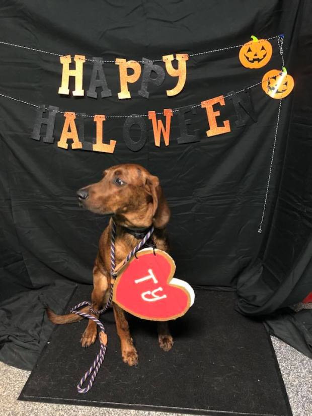 23031707_1319508811491515_4322686267178234536_n