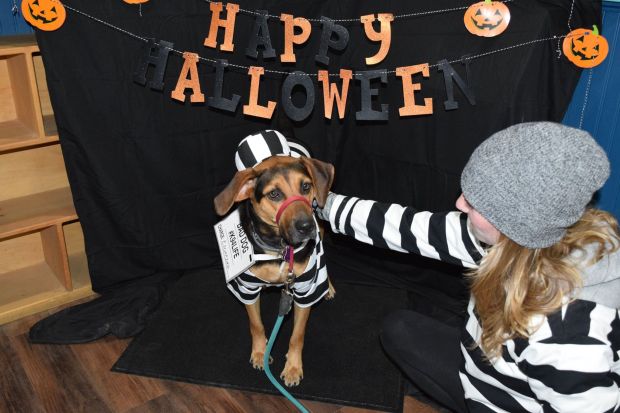 23117081_1319344944841235_7983033135664141001_o