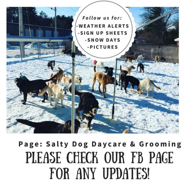 26195784_1374848642624198_8895588414816663037_n