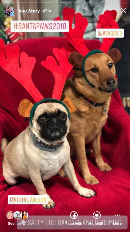 47230079_1775342702574788_7576209756231041024_n