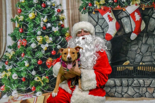 1CF4BFCC-4200-4F07-A77E-25200CE0CF3E