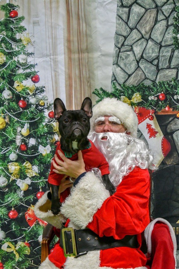 2E9DC1DC-79D3-408B-A512-C4B4A39F3EE1