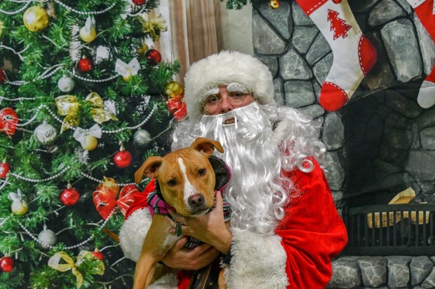 47DAA76E-367D-476E-9058-3DD90F23B8B8