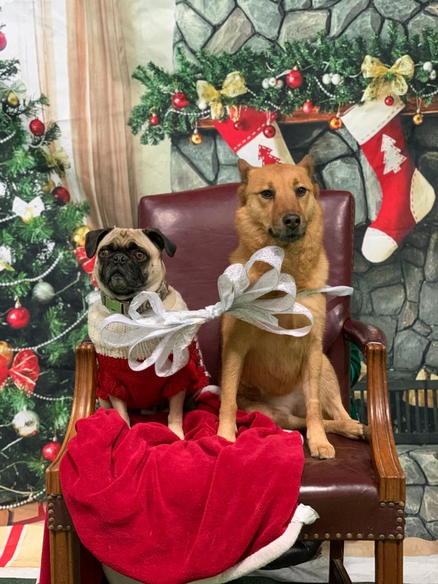 4C8D9927-5180-4904-AC45-41C861965324