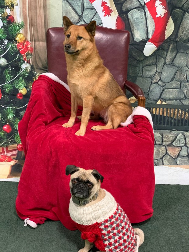 5D2A07DE-3AB2-4EF2-8F9E-196546541101