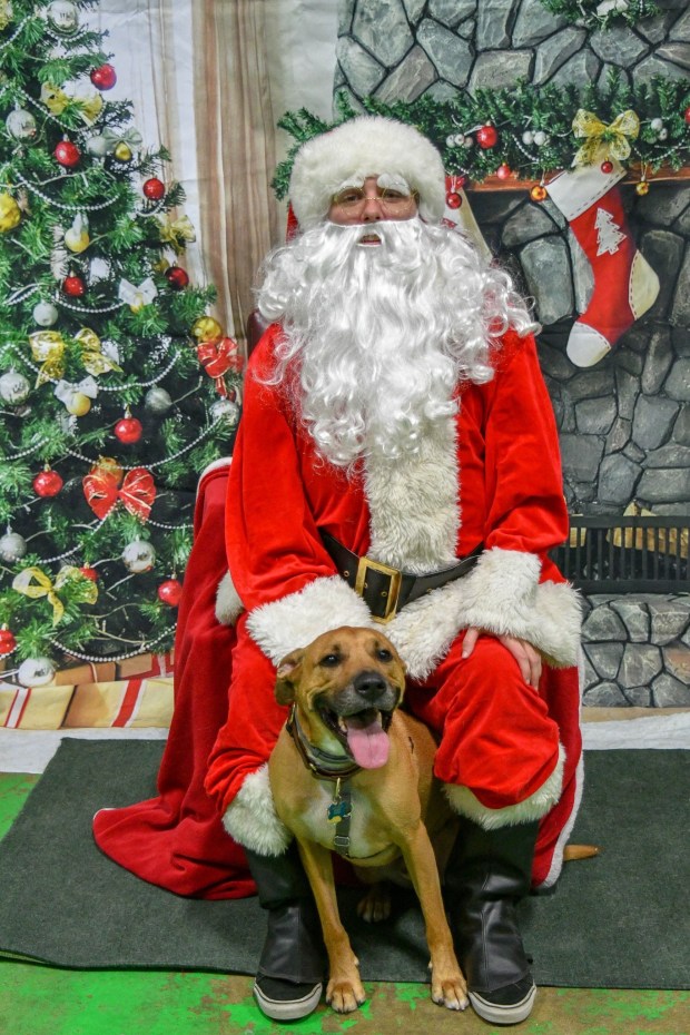 664E5AD7-45DF-40B1-9235-7F1C9745ABE6