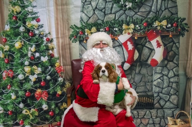 6CDE3321-7A3C-4A4C-8AFE-1612ED2B948E