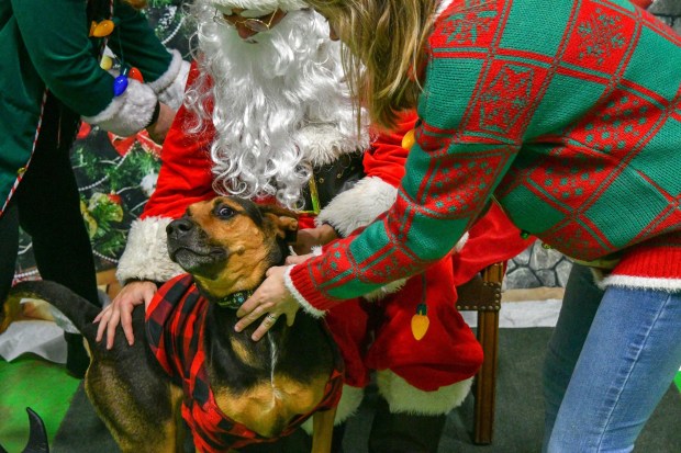 81D482D5-EB3B-4192-9482-8B2AE1332E58