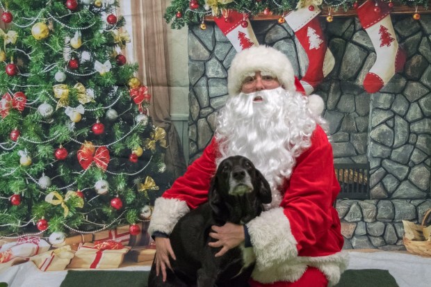 902F55E7-AAB3-4B65-9F48-E30B9449323B