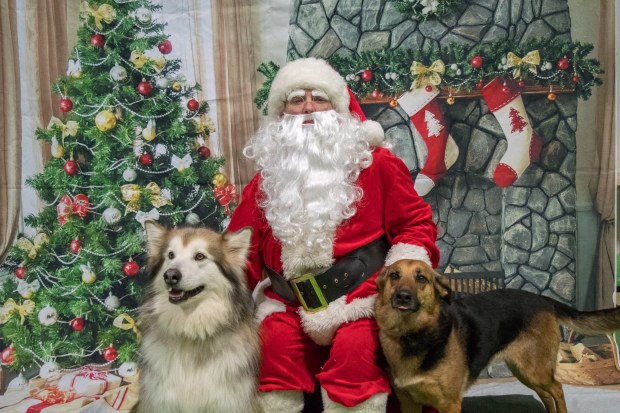 9576BDE0-E629-445A-ACA6-796141C2A2D4