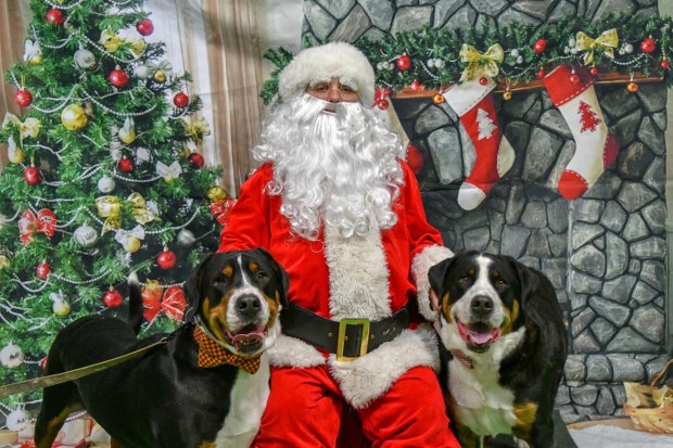 E72998BB-449F-4A41-BD2A-6F7D92553E33