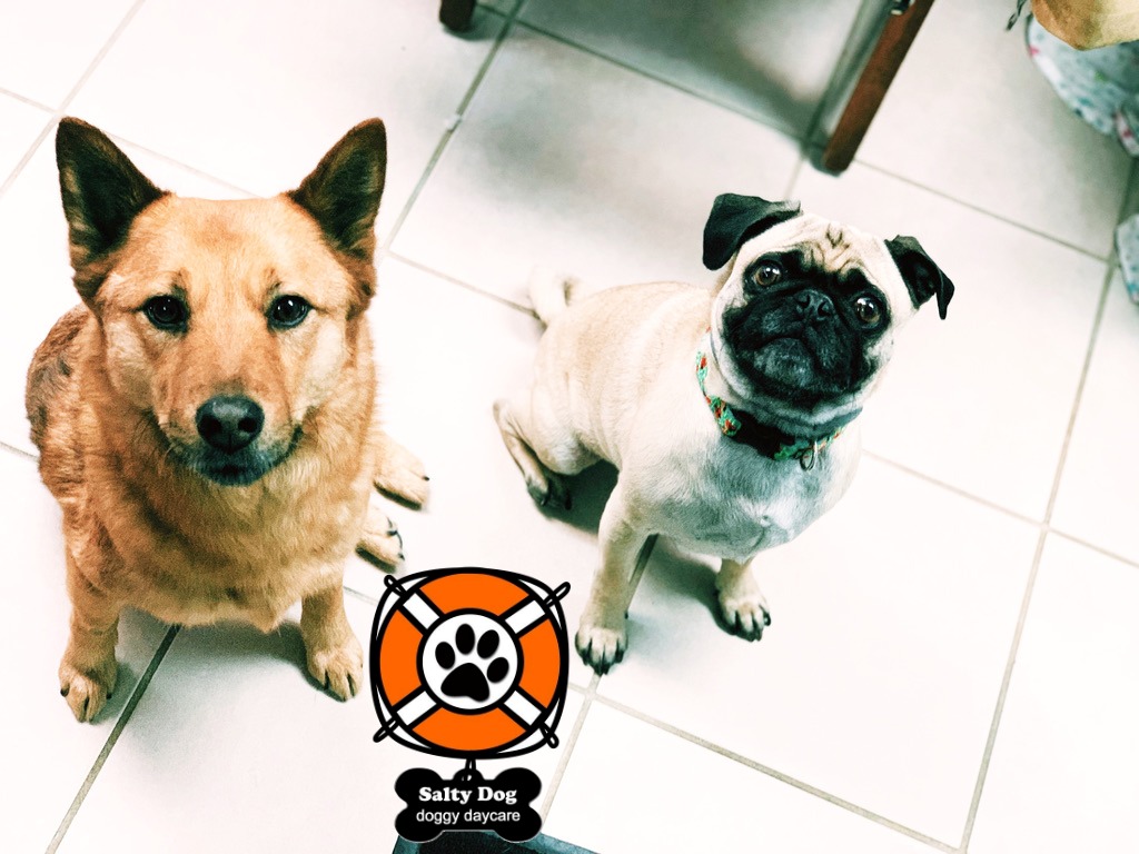 04E80EAE-4C56-4213-B0AB-38AF2A54CA37_1_105_c-ink