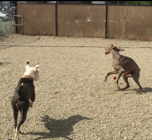 007E93D5-23D3-4DC6-A8D5-CF5C4B233552