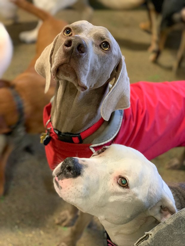 7FB0D426-780A-47CF-ADC6-E41F45DD86F8