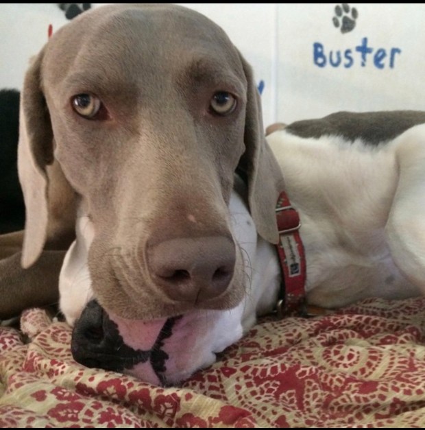 808A5D00-B717-405D-AC3A-0EA4B5FD4703