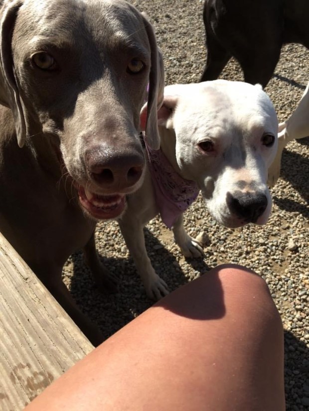 C6CD0BF7-F53F-4BC3-94D0-DF6C448464BD