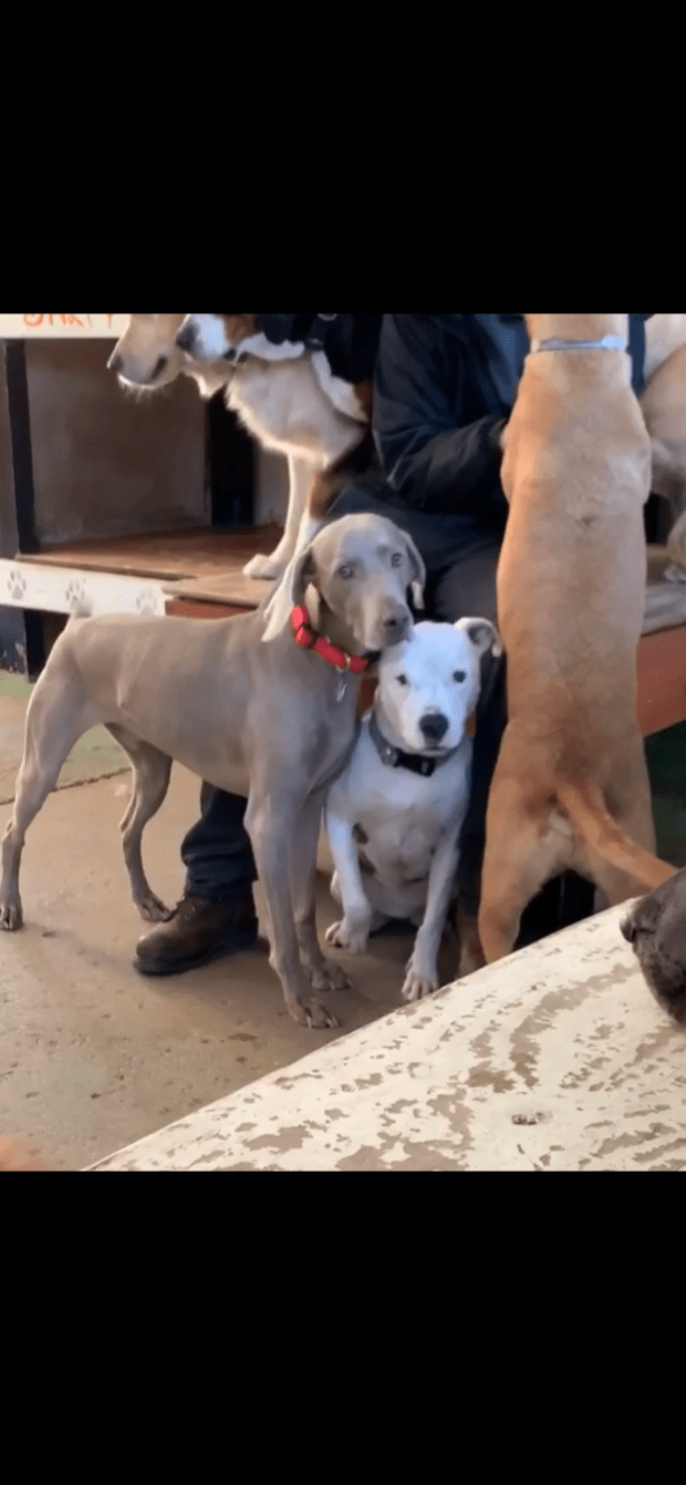 CCC16DB1-B17B-4143-BC6E-298CDA7408D4