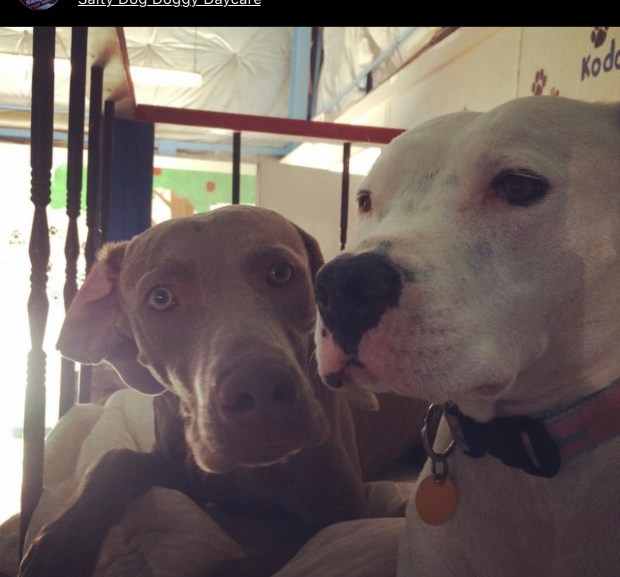 EA1A1D9D-BDFC-43C1-A82E-63054DB08F85