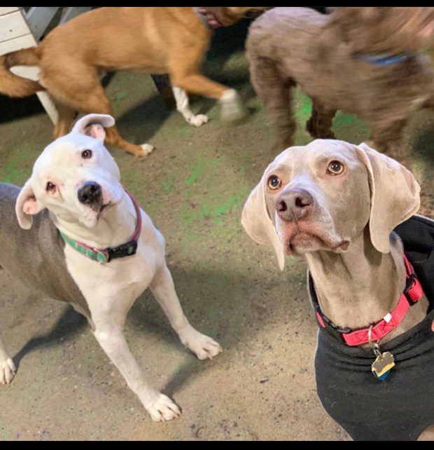 F5EA6053-E28B-43E7-AF92-D377B529936B