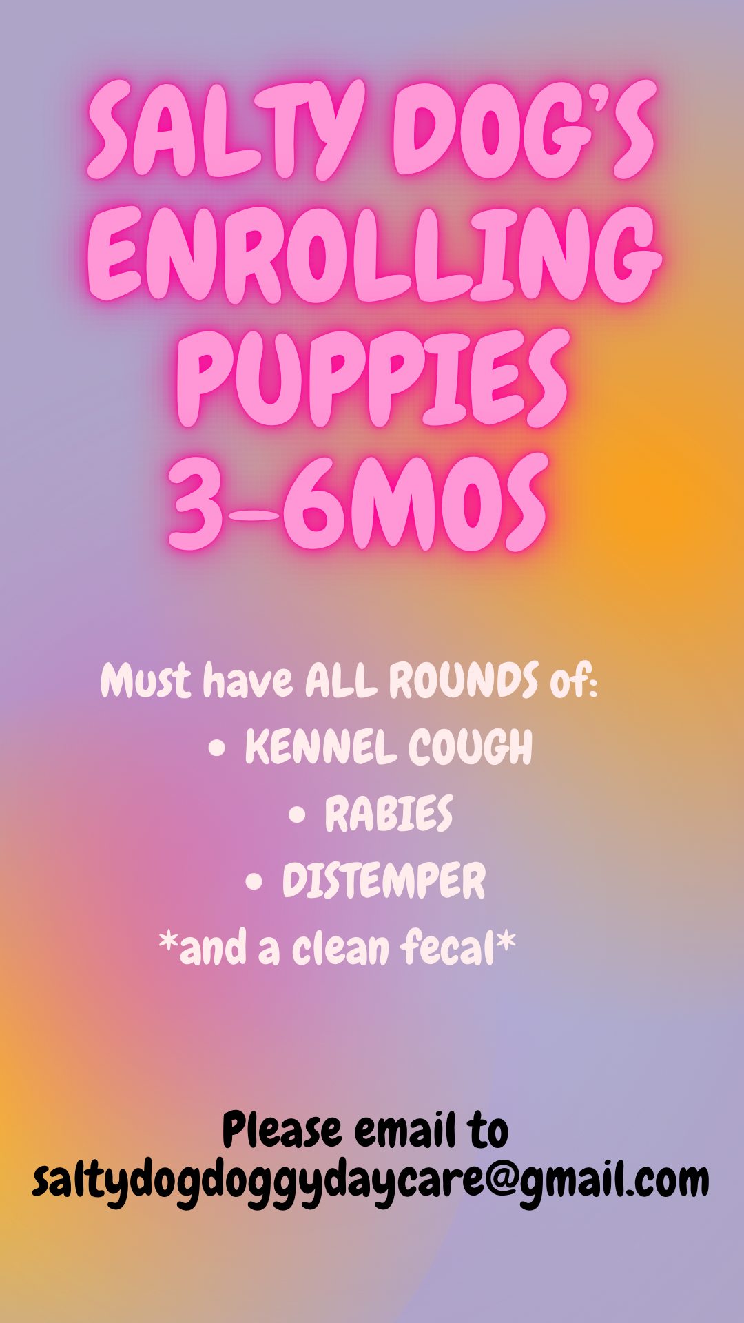 Salty Dog Enrolling Puppies Salty Dog Daycare